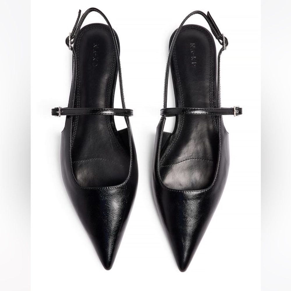 Pointed Toe Black Flats